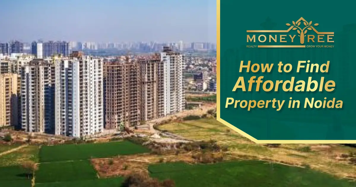 How to Find Affordable Property in Noida