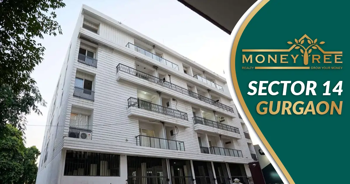 Sector 14 Gurgaon | Moneytree Realty